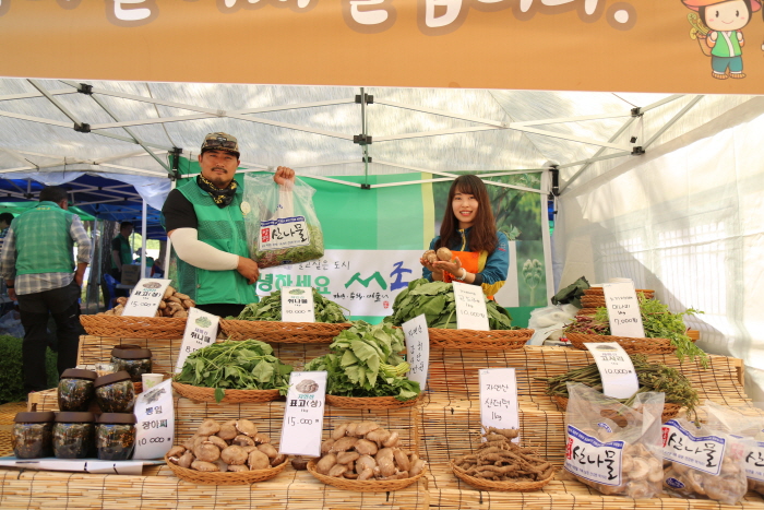 杨平龙门山山野菜庆典양졍 용문산 산나물축제