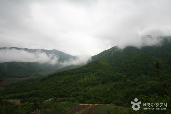智异山国立公园(山清)지리산국립공원(산청)