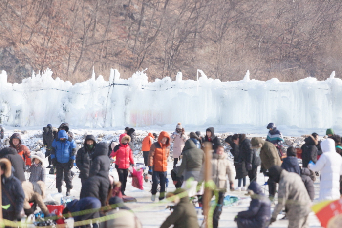 加平冬季鳟鱼庆典가평씽씽송어축제