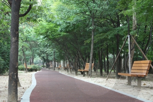 姊妹公园(安卡拉公园)자매공원(앙카라공원)