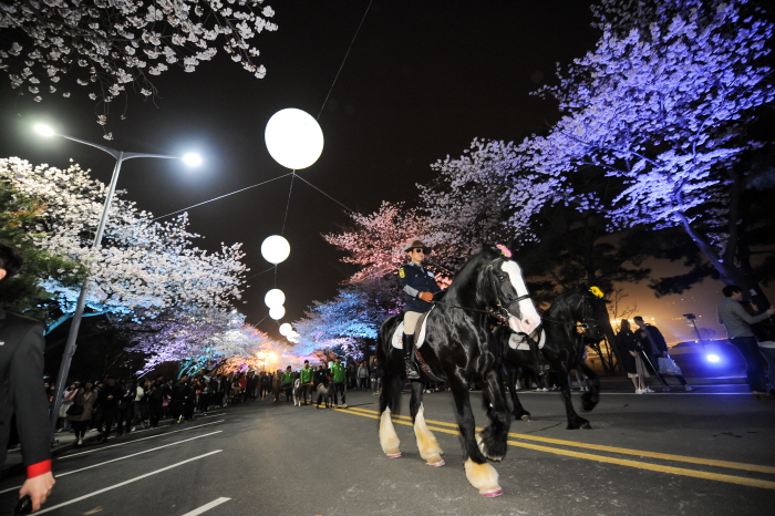 首尔LET'S RUN公园夜间樱花庆典 <br >렛츠런파크 서울 야간벚꽃축제