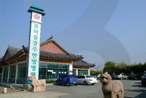 花村庆州韩方医院(꽃마을 경주한방병원)
