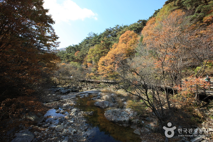 雉岳山国立公园(치악산국립공원) 雉岳山国立公园(치악산국립공원)