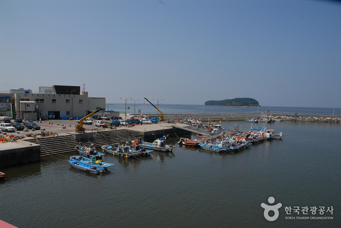武昌浦渔业体验村무창포어촌체험마을