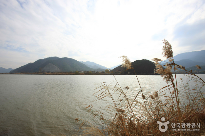 洛东江낙동강