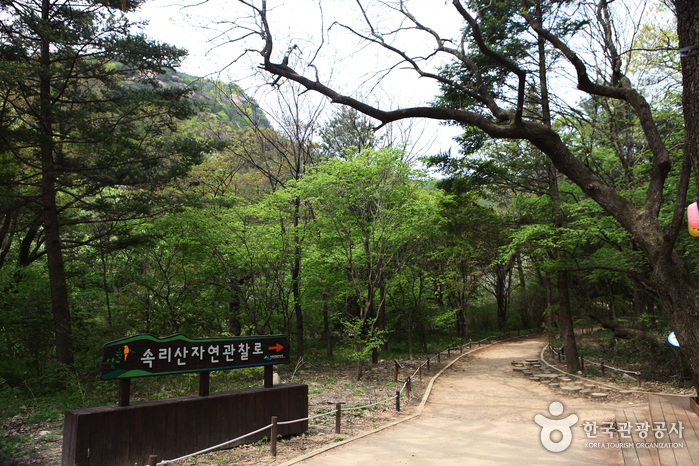 俗离山观光特区(속리산 관광특구)