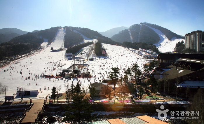 龙平度假村滑雪场용평리조트 스키장