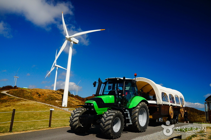 大关岭天空牧场대관령 하늘목장