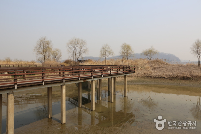 江西濕地生態公園(강서습지생태공원)