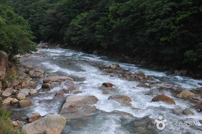 Baegunsan Mountain Donggokgyegok Valley (백운산 동곡계곡)