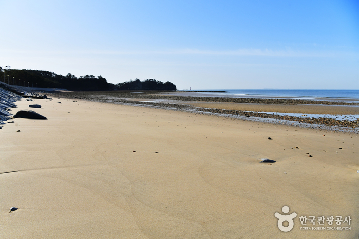 Baeksajang Beach (백사장해수욕장)