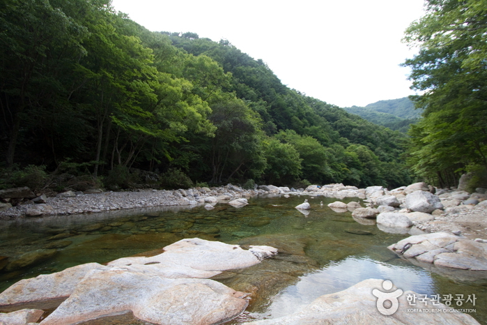 Baemsagolgyegok Valley (뱀사골 계곡)