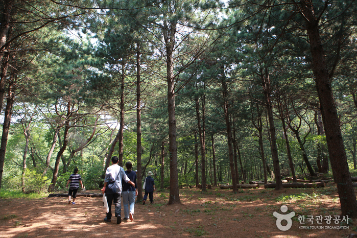 Cheonggyesan Mountain (청계산)