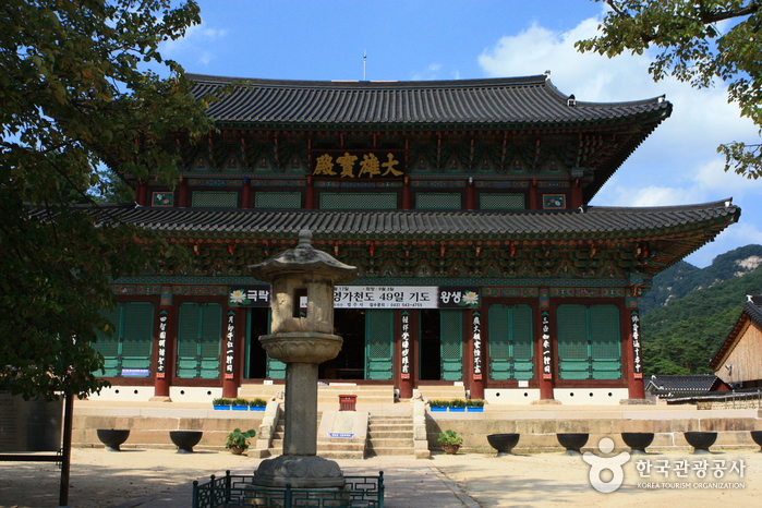 Boeun Beopjusa Temple [UNESCO World Heritage] (보은 법주사 [유네스코 세계문화유산])