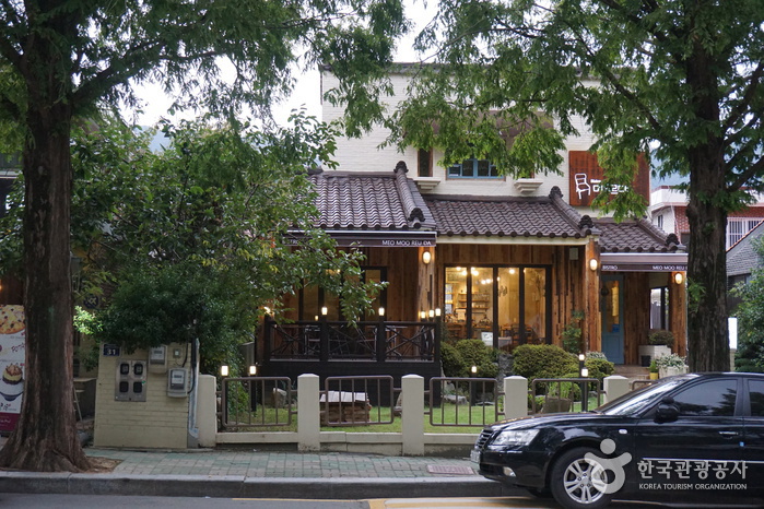 Changwon Garosu-gil (창원 가로수길)
