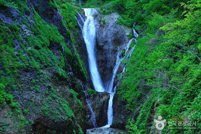 Bongnaepokpo Falls [National Geopark] (봉래폭포 (울릉도, 독도 국가지질공원))