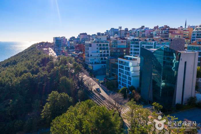 Colline de Dalmajigil à Haeundae (해운대 달맞이길)