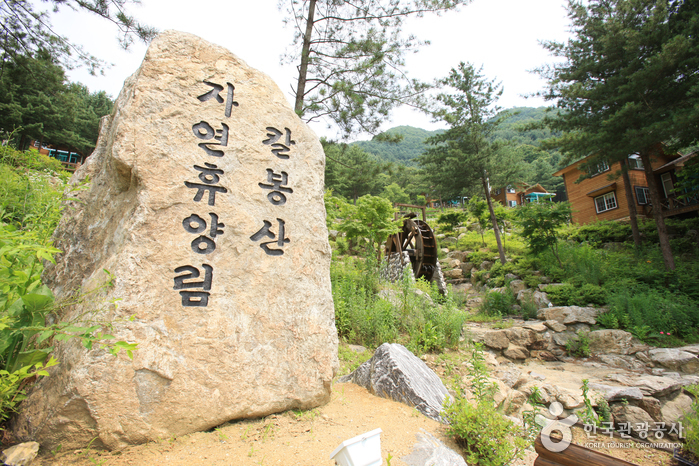 Fôret récréative Kalbongsan (칼봉산자연휴양림)