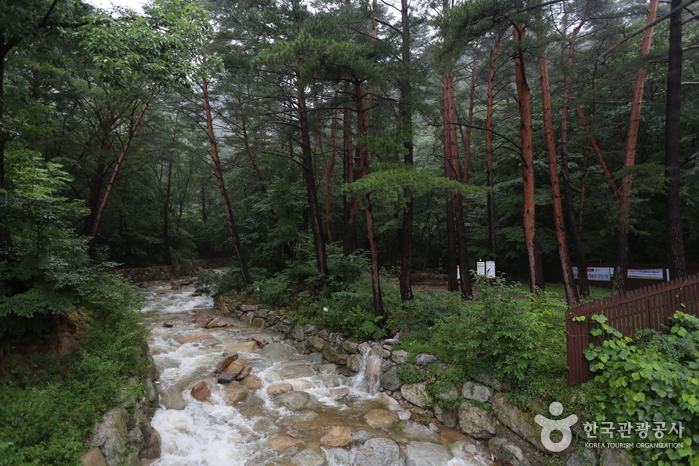 Cascade de Daeseung (대승폭포)