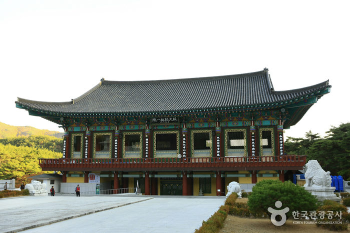 Donghwasa Templestay (동화사 템플스테이)