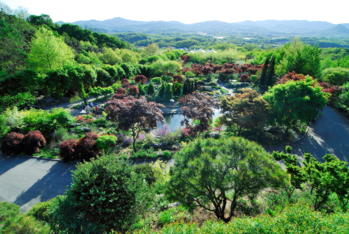 Botanischer Garten Hantaek (한택식물원)