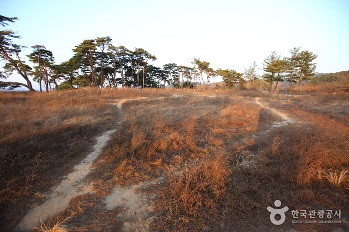 Brunnen Gyeongju Najeong (경주 나정)