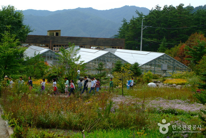 Botanischer Garten für Koreanische Pflanzen (한국자생식물원)