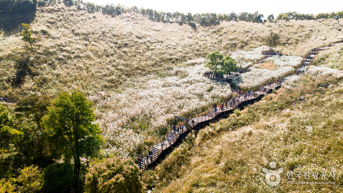 Berg Myeongseingsan (명성산)