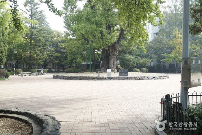 清州中央公園（청주 중앙공원）