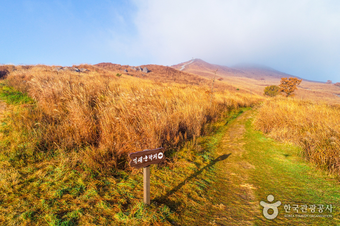 黄梅山（山清）（황매산（산청））