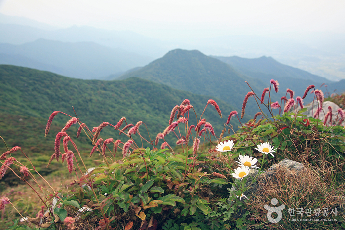 徳裕山国立公園(南徳裕分所)(덕유산국립공원(남덕유분소)) 徳裕山国立公園(南徳裕分所)(덕유산국립공원(남덕유분소))