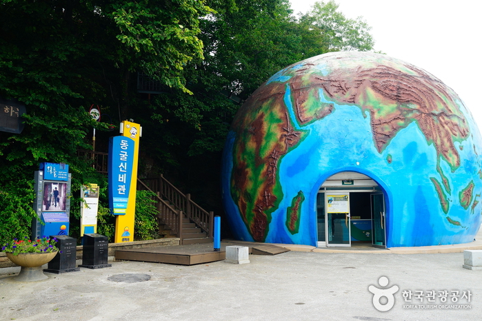 삼척 동굴신비관 삼척 동굴신비관