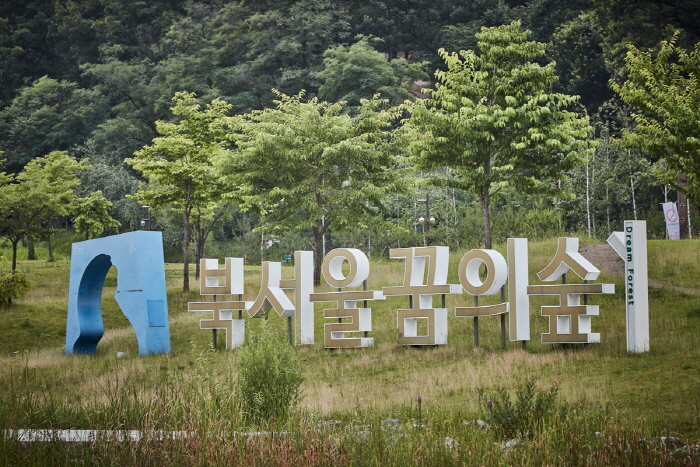 Bosque de los Sueños (북서울 꿈의숲)