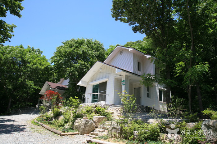 Bosque Recreativo Nacional del Monte Hoemunsan (국립 회문산자연휴양림)