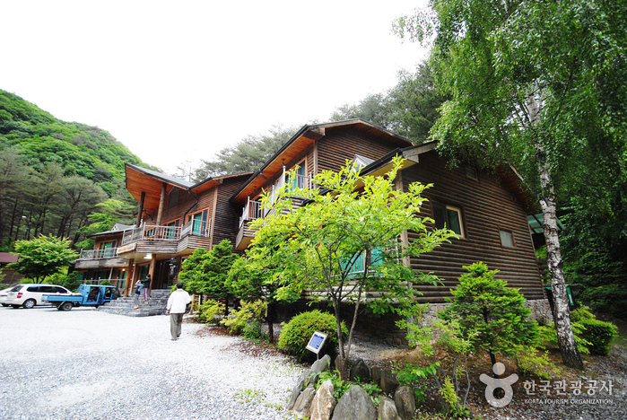 Bosque Recreativo Nacional del Monte Gariwangsan (국립 가리왕산자연휴양림)